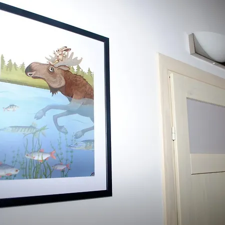 Apartament Apartament żydowska 11 *